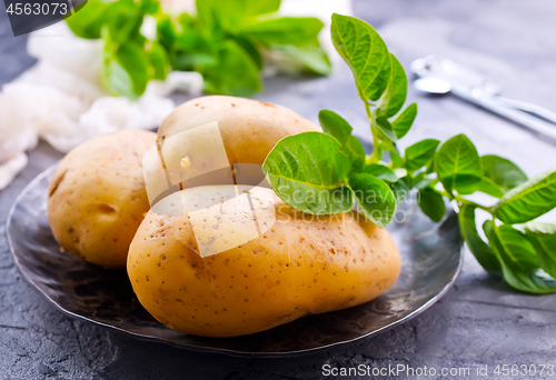 Image of raw potato