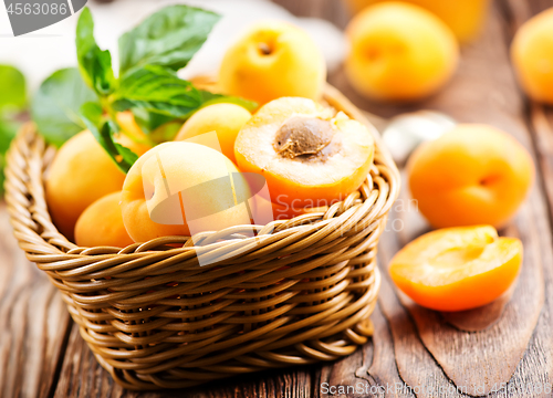 Image of fresh apricots