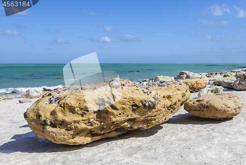 Image of Rocky Beach Abstract