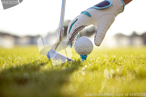 Image of Hand in glove placing golf ball on tee