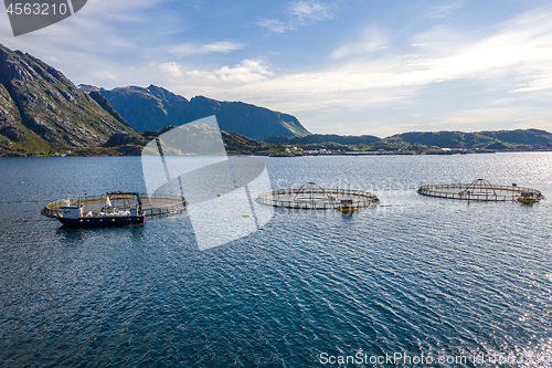 Image of Farm salmon fishing in Norway