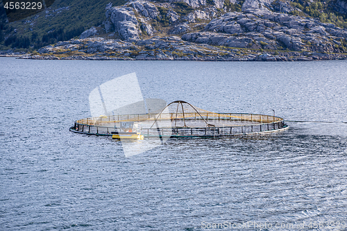 Image of Farm salmon fishing in Norway