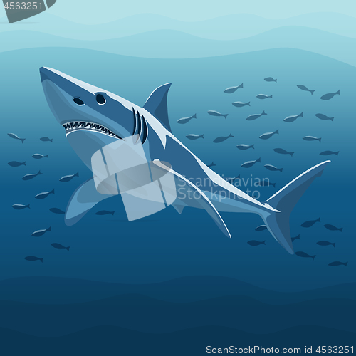 Image of Vector Illustration Of White Shark