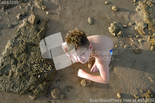 Image of  Boy collecting seashells on the beach