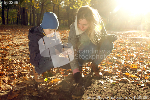 Image of Son and Mother in the Park