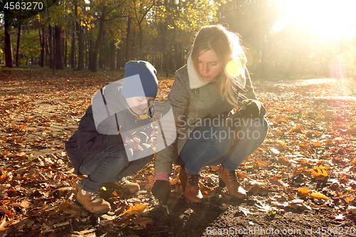 Image of Son and Mother in the Park