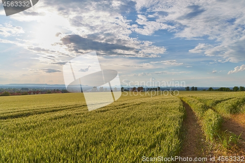 Image of Green Field with Trees