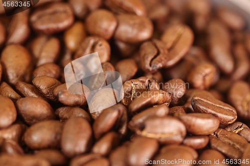 Image of Coffee beans closeup