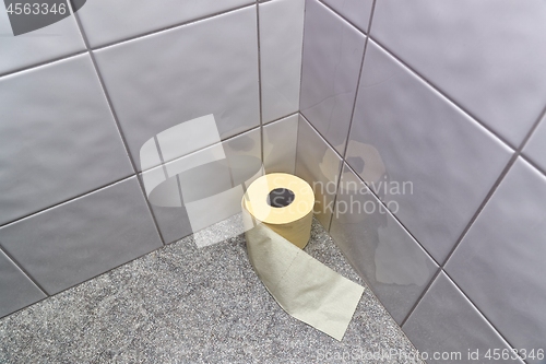 Image of Toilet paper in the corner