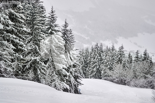 Image of Winter Snowy Mountain Landscape