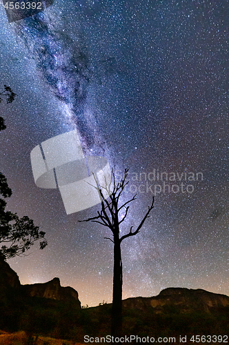 Image of Starry night skies over Gardens of Stone and lone tree