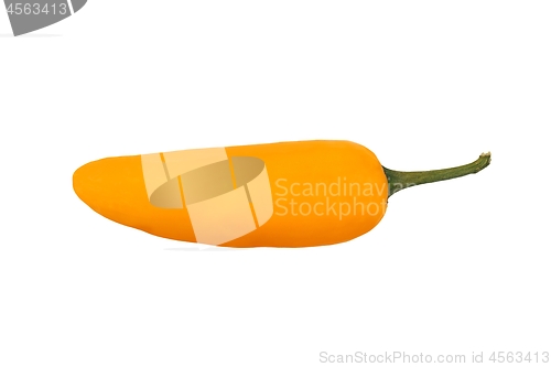 Image of Yellow pepper on white