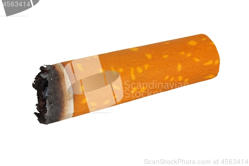 Image of Cigarette end on white