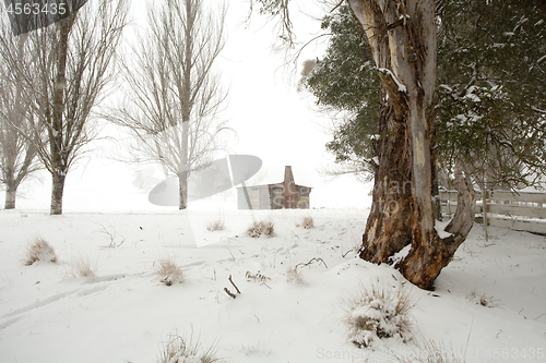 Image of Rural winter scenic landscape near Oberon