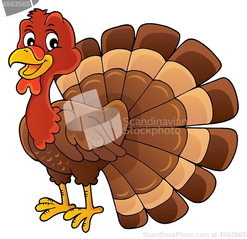 Image of Turkey bird theme image 1