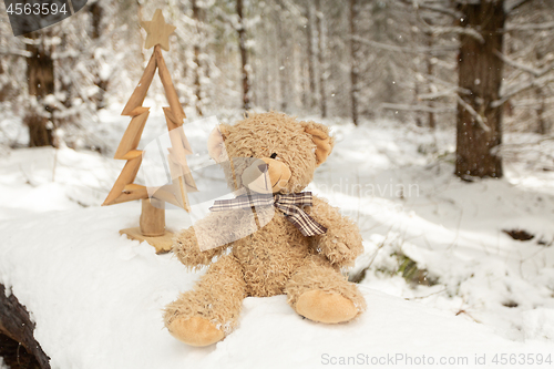 Image of Scruffy bear and rustic Christmas tree in snow