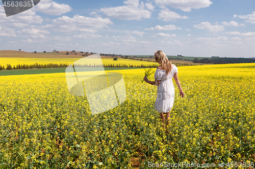 Image of Woman among a field of canola plants flowering in spring sun