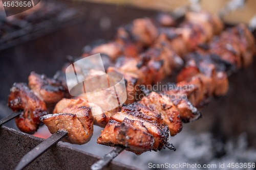 Image of grilled pork meat kebab skewers