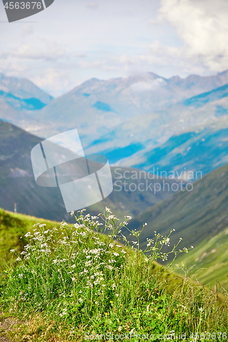 Image of Swiss Alps landscape