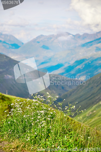 Image of Swiss Alps landscape