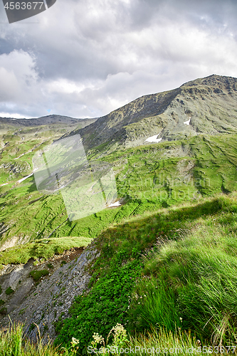 Image of Swiss Alps landscape