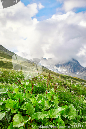 Image of Swiss Alps landscape