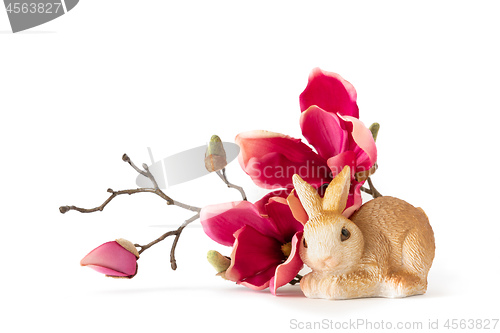 Image of easter bunny sitting by some red magnolia flowers