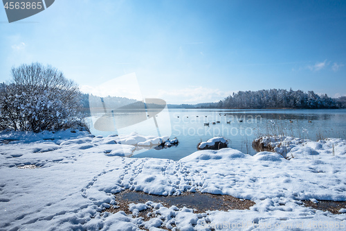 Image of Lake Osterseen Bavaria Germany winter scenery