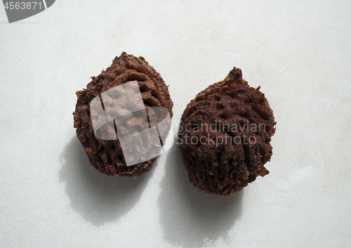 Image of two peach pits