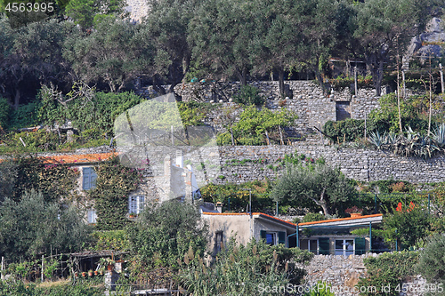 Image of Terrace Gardens Liguria