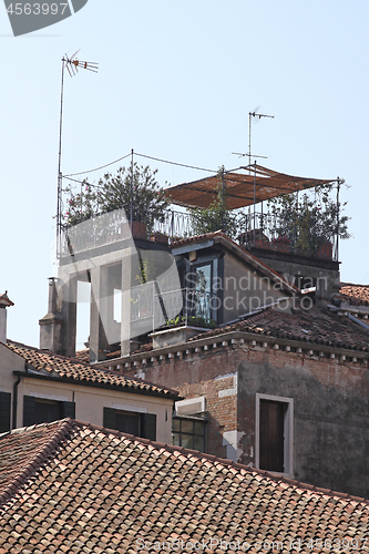 Image of Rooftop Garden Venice