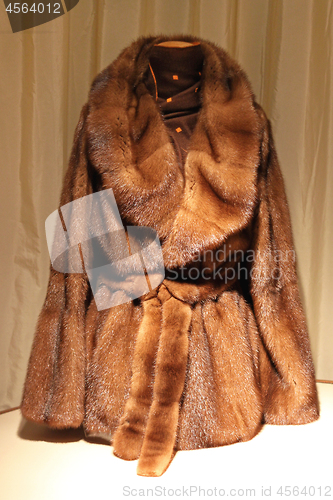 Image of Fur Coat