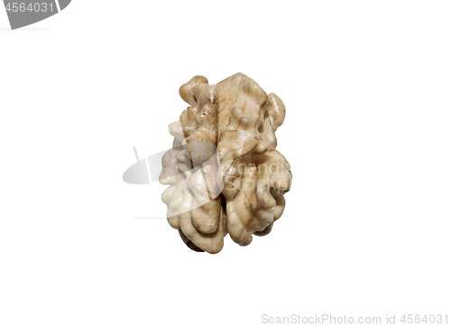 Image of walnut kernel