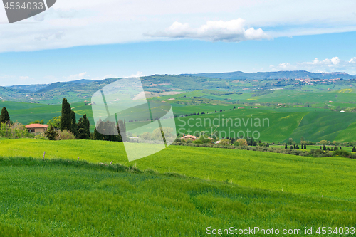 Image of Beautiful spring landscape with hills in Tuscany