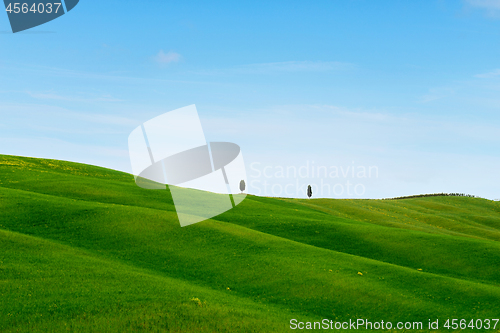 Image of Beautiful spring minimalistic landscape with green hills in Tuscany