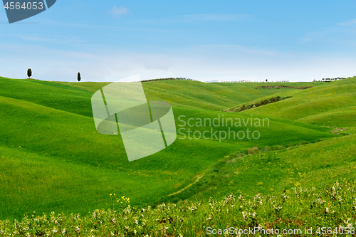 Image of Beautiful spring minimalistic landscape with green hills in Tuscany