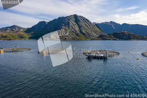 Image of Farm salmon fishing in Norway