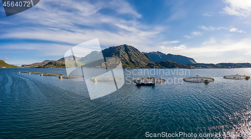 Image of Farm salmon fishing in Norway