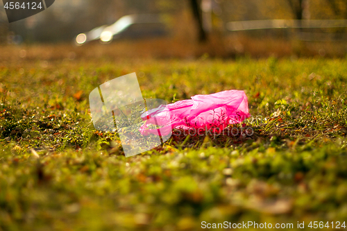 Image of Plastic garbage packet on the green grass