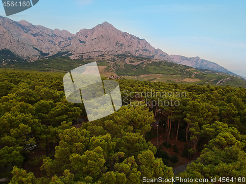 Image of An aerial view from drone to the trees and mountain