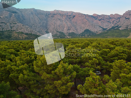 Image of An aerial view from drone to the trees and mountain