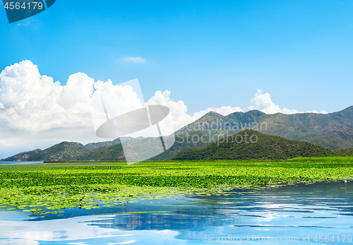 Image of Skadar lake park