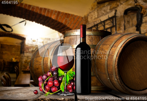 Image of Wine cellar and grapes