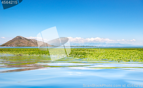 Image of Skadar lake national park