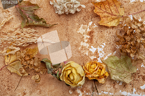 Image of Autumn Leaves