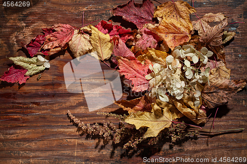 Image of Autumn Leaves