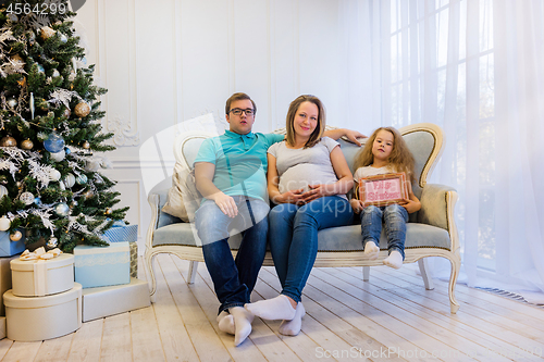 Image of Family portrait near christmas tree