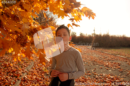 Image of Boy in Autumn Park