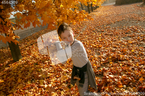 Image of Boy in Autumn Park