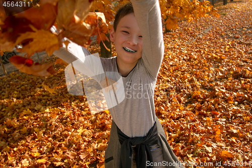 Image of Boy in Autumn Park